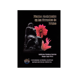 Plantas medicinales en los mercados de México.