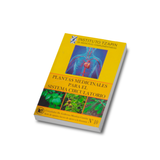 Plantas medicinales para el sistema circulatorio