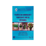 Plantas que armonizan y purifican el aire de interiores.