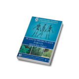 Plantas Medicinales para el Sistema Oseo