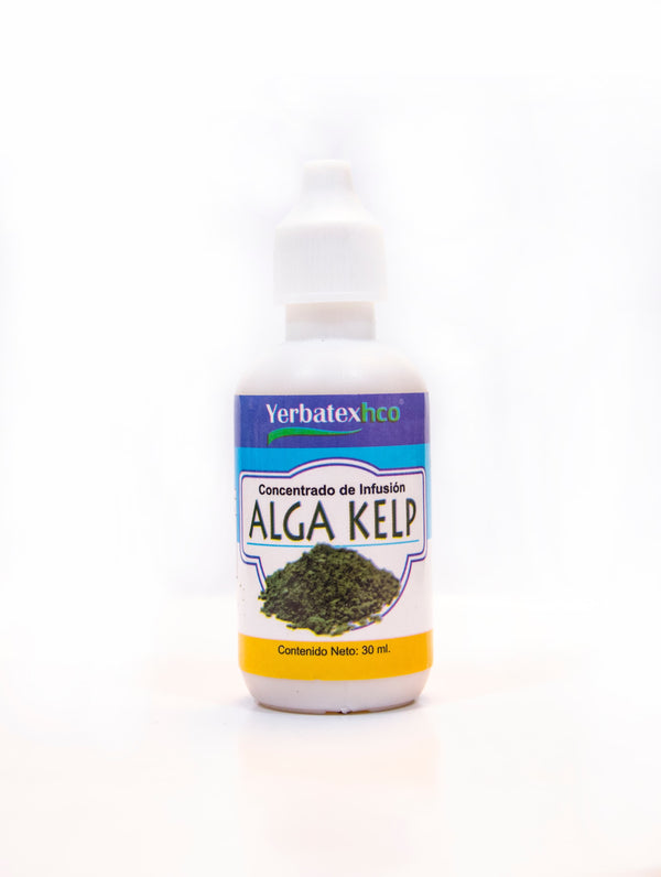Extracto de Alga Kelp