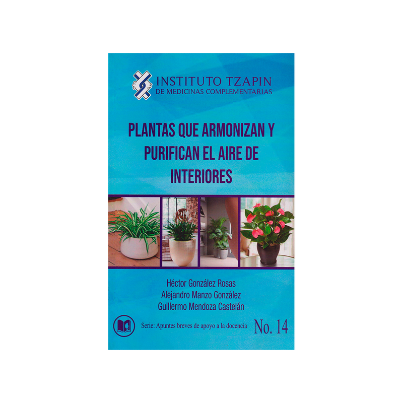 las plantas purifican el aire Plantas que armonizan y purifican el aire de interiores